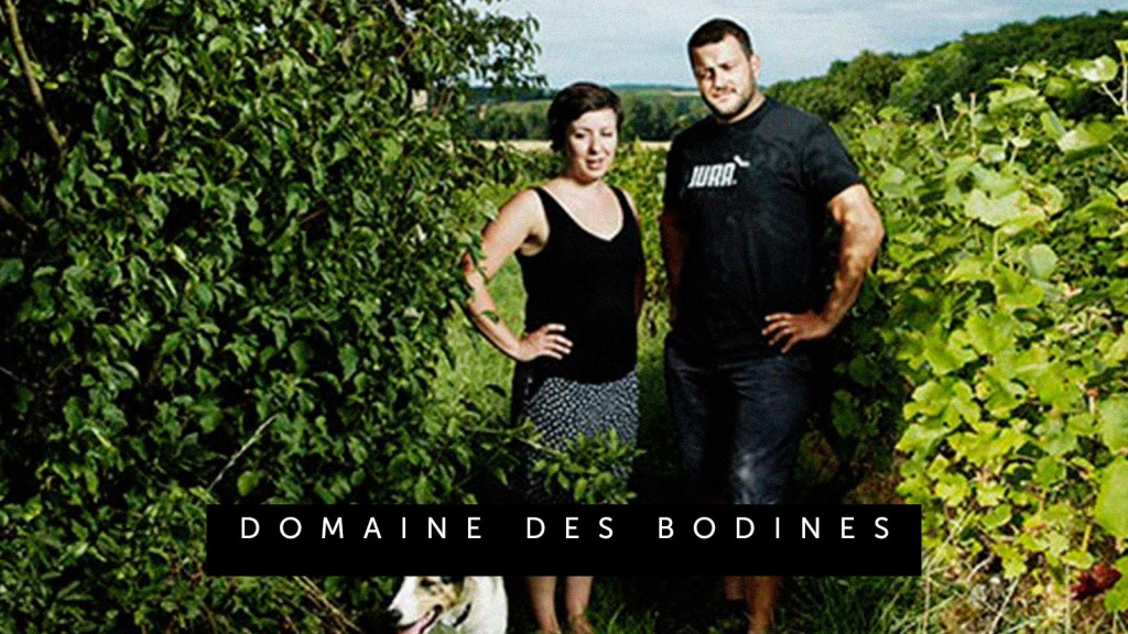 Domaine des Bodines