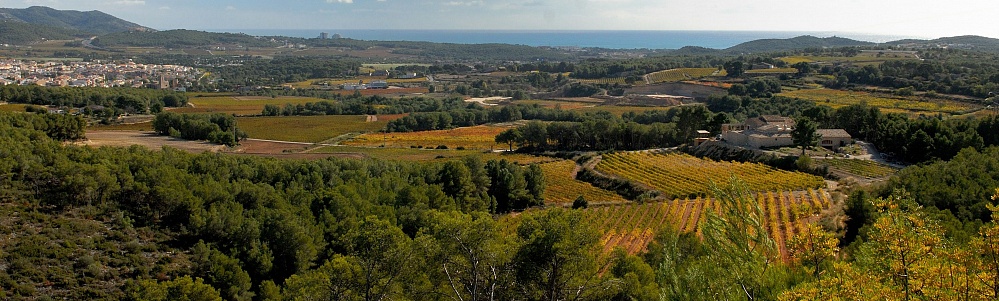 Виноградники расположены в охраняемой зоне Гарраф парка, в окружении средиземноморских лесов, розмарина и тимьяна.