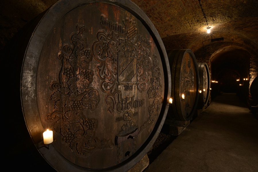 Большие старые австрийские дубовые бочки для выдержки вин Николайхоф